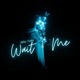 Wait 4 Me Single