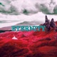 Eternity Single