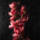 Burgundy Love feat Kuzich Single