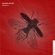Firefly Single