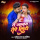 A JANAM TERE LIYE feat Sharmila Single