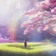 Lonely Single