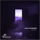 Light in Darkness Single