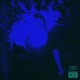 ICEONMY feat Imperetiv Single