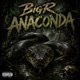 Anaconda Single