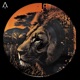 Lion Safari Single