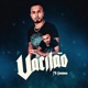Vacilão Single