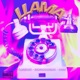 Llama feat momo siordia VANI Single