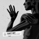 Can t Get feat Stace Cadet Single