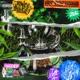Hit the Bong feat Voca Luciano Single