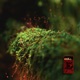 Glimmer EP