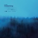 Drowning Single