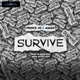 Survive feat Asake Single