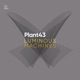 Luminous Machines