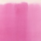 Fuchsia Single