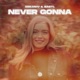 Never Gonna Single