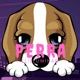 Perra Single