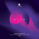 Atom Single
