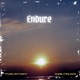 Endure Single
