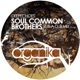 Soul Common Brothers Rub a Dub Mix Single