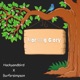 Morning Glory Single