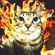 Flame Single