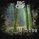 Mimosa Single