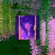 Txrlight Single