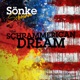 The Schrammerican Dream feat DJ Pocket EP
