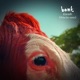 Friends Polar Inc Remix Single