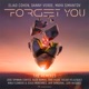 Forget You The Remixes