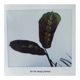 So Far Away remix Single