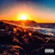 Flaws Single