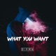 What You Want Single