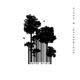 Sense Arrels Single