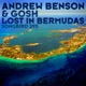 Lost In Bermudas Single