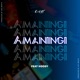 Amaningi feat Hoody Single