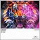 Roar Single
