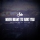 Never Meant to Hurt You feat D Salas Single
