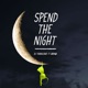 Spend the Night feat Abrina Single