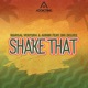 Shake That feat Big Delvee Single