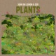 Plants Single