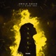 Ashes Single