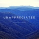 Unappreciated Instrumental Single