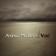 Void Single