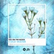 Cold Water Single