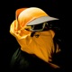 Supreme knowledge feat Nativ Single