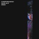 Raver s Melancholy Single