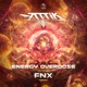 Energy Overdose FNX Remix Single