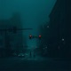 Illusionary Daytime Single